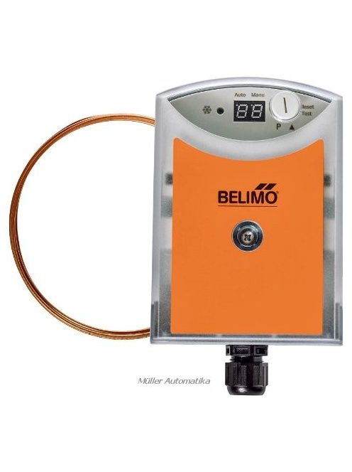 BELIMO 20DTS-1Px