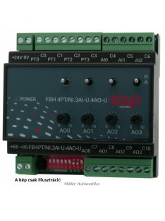   7814 FB4PT/NI.3AI-U.4AO-U.M.S. 4xPt/Ni, 3xAI (0..10V), 4xAO (0..10V), 24VDC, modbus rtu, Saia S-bus, 