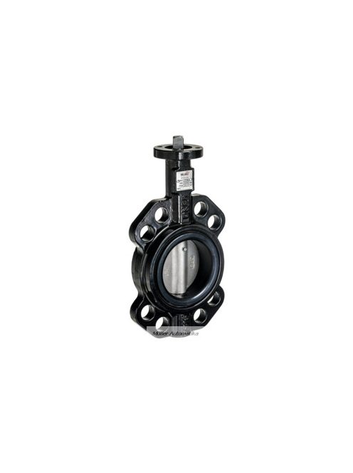 BELIMO D6100W