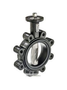 BELIMO D6100WL