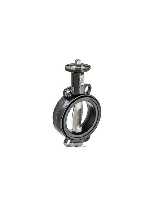 BELIMO D6125W