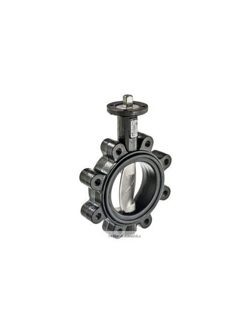 BELIMO D6150WL