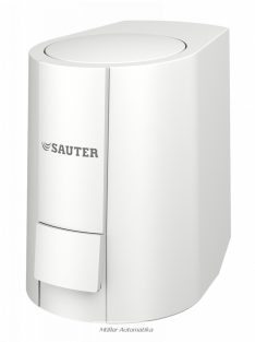 SAUTER AXS315SF102